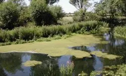 The Mill
