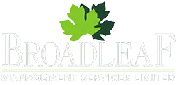 Broadleaf