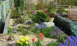 Communal Gardens