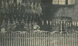 Broadleaf in the 1920s